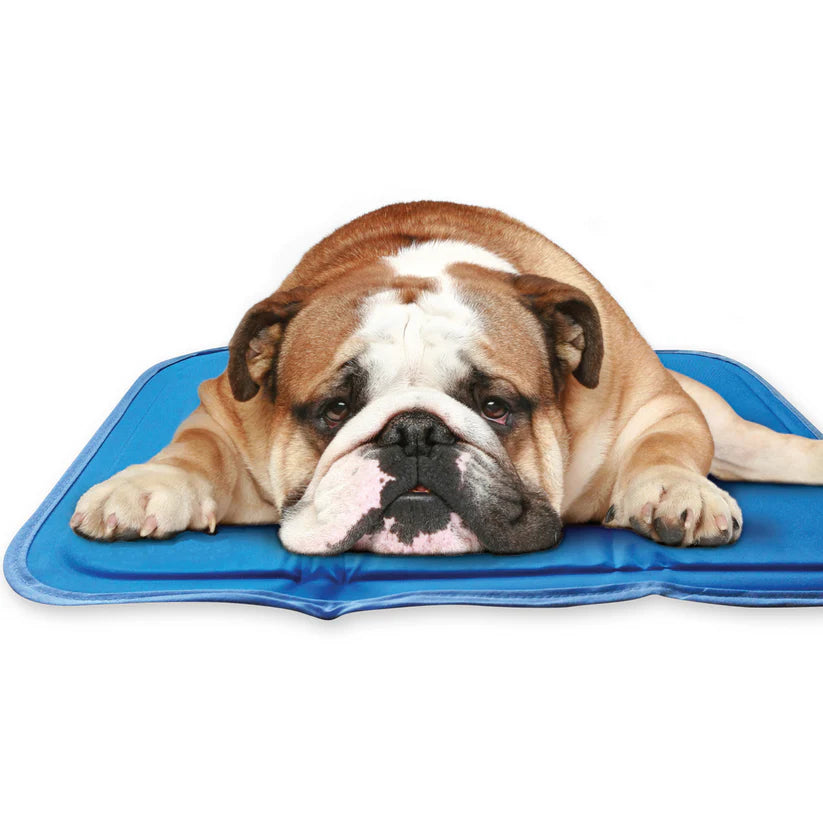 Premium Cooling Pet Pad – Soft, Breathable & Self-Cooling Mat for Dogs & Cats
