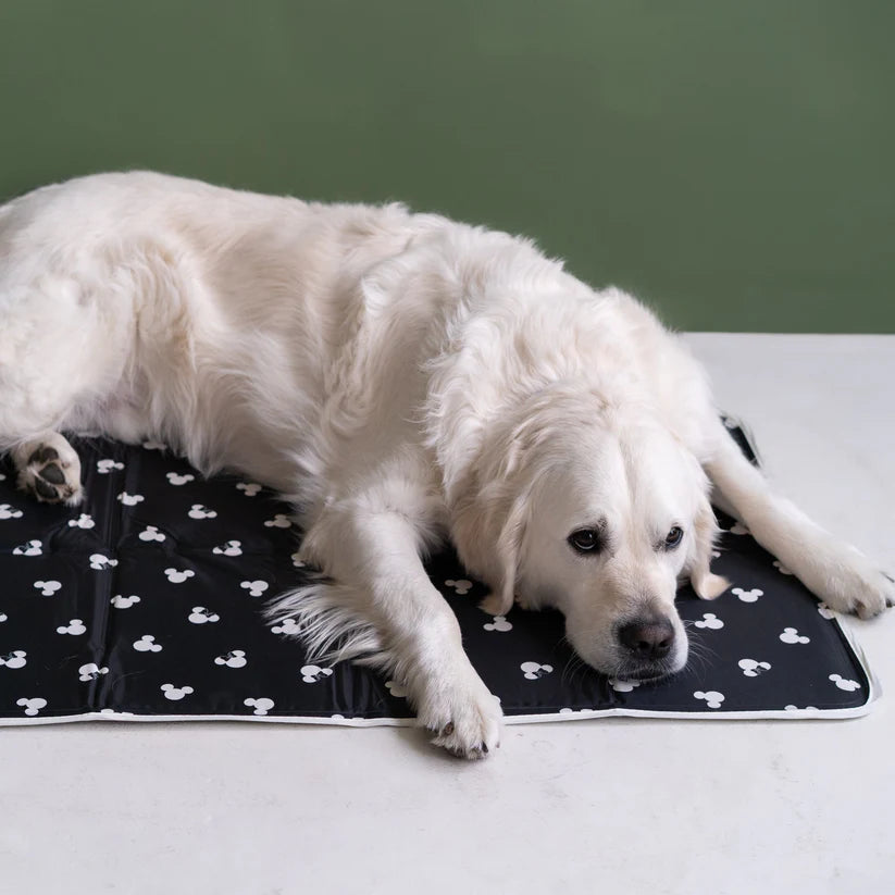 Disney Mickey & Minnie Cooling Pet Pad – Soft, Breathable & Summer Comfort Mat for Dogs & Cats
