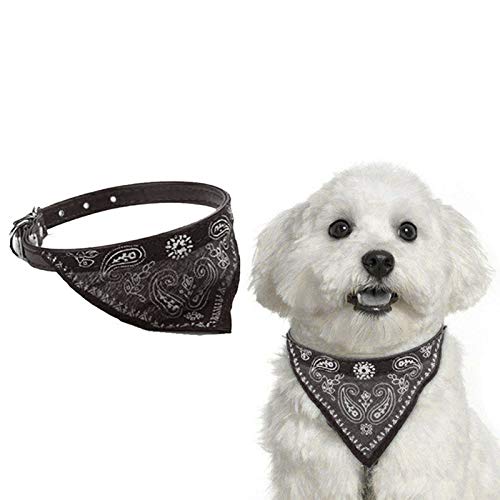 Chic Black Bandana Collar – Stylish, Lightweight & Comfortable Accessory for Small Dogs & Cats