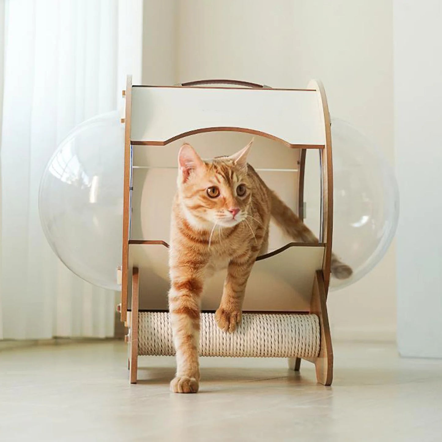 Modern Cat Pod House – Luxury Wooden Cat Bed with Scratch Post & Transparent Bubble Windows
