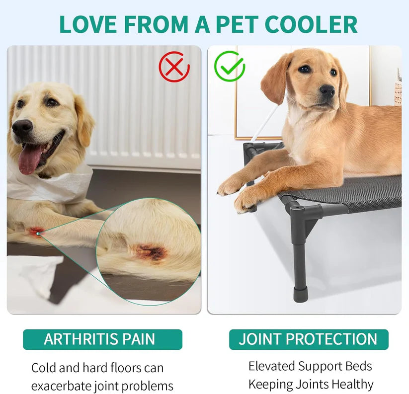 Medium Elevated Dog Bed (32x25x8in) – Raised Outdoor Pet Cot with Breathable Mesh, Waterproof Steel Frame & Non-Slip Feet – Supports Up to 80 lbs – Black