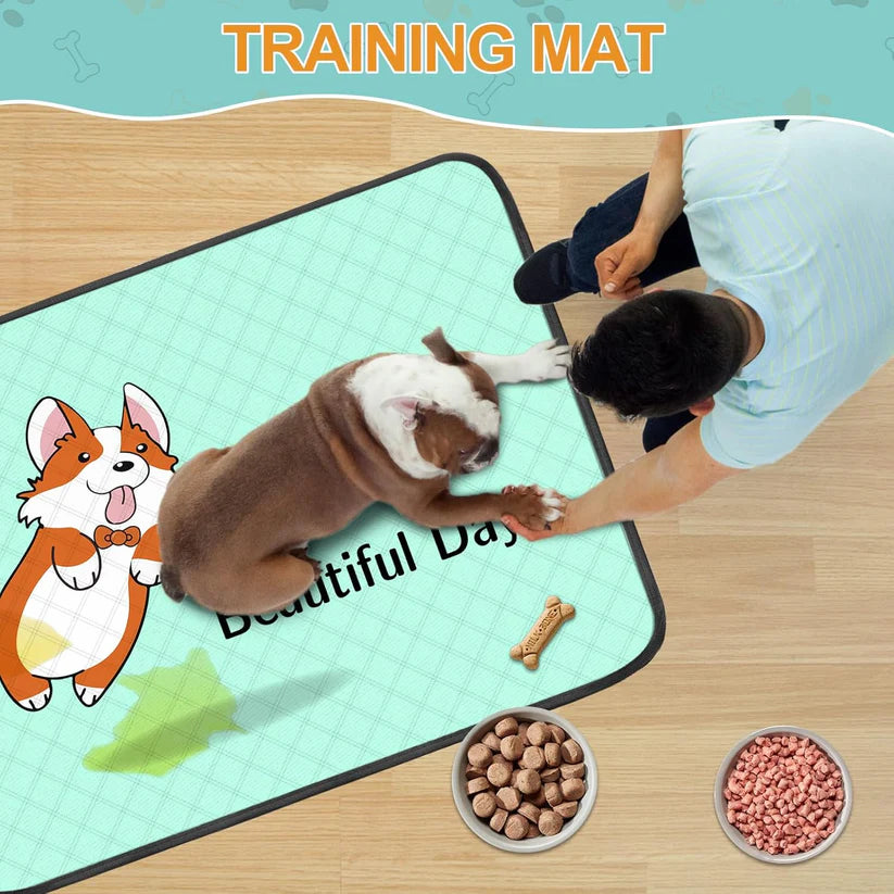 Premium Reusable Dog Pee Pads (35x22in) – Ultra Absorbent, Waterproof & Non-Slip – Ideal for Puppy Training, Crates & Whelping Areas