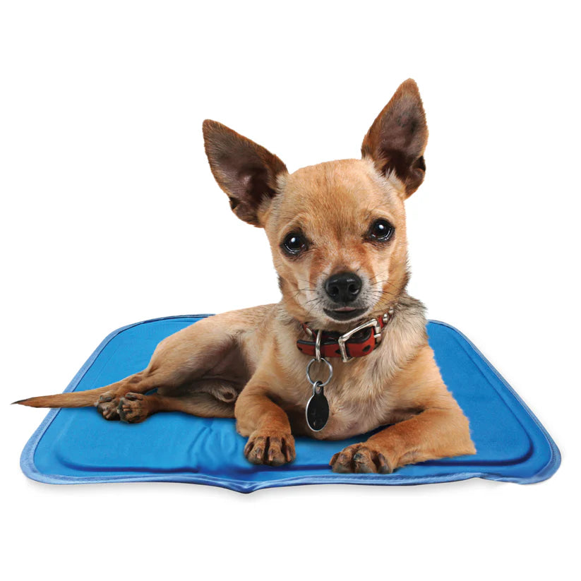Premium Cooling Pet Pad – Soft, Breathable & Self-Cooling Mat for Dogs & Cats