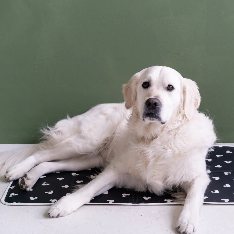 Disney Mickey & Minnie Cooling Pet Pad – Soft, Breathable & Summer Comfort Mat for Dogs & Cats