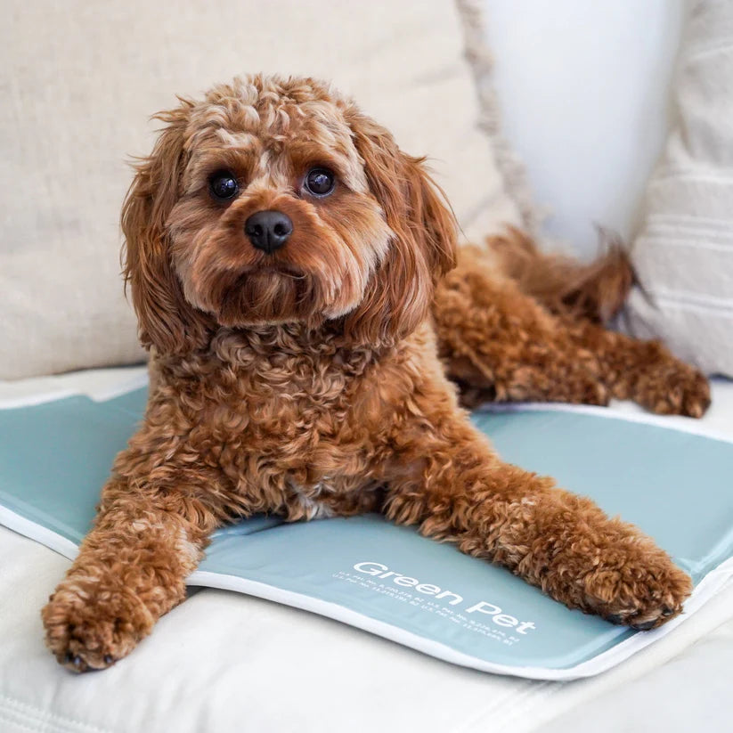 Premium Cooling Pet Pad – Soft, Breathable & Self-Cooling Mat for Dogs & Cats