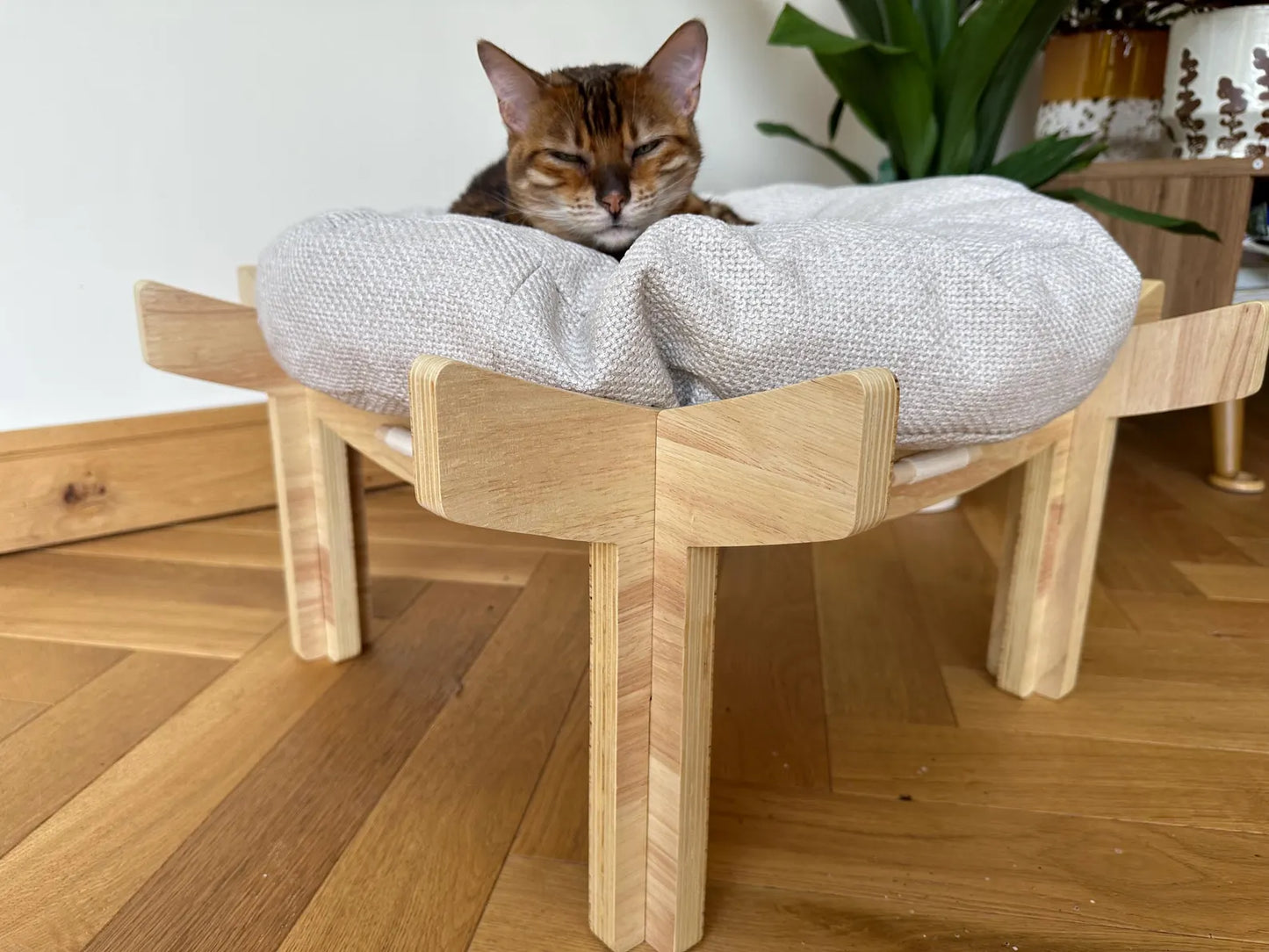 Luxury Solid Wood Cat Bed with Extra Thick Cushion – Premium Durable Design for Modern Homes