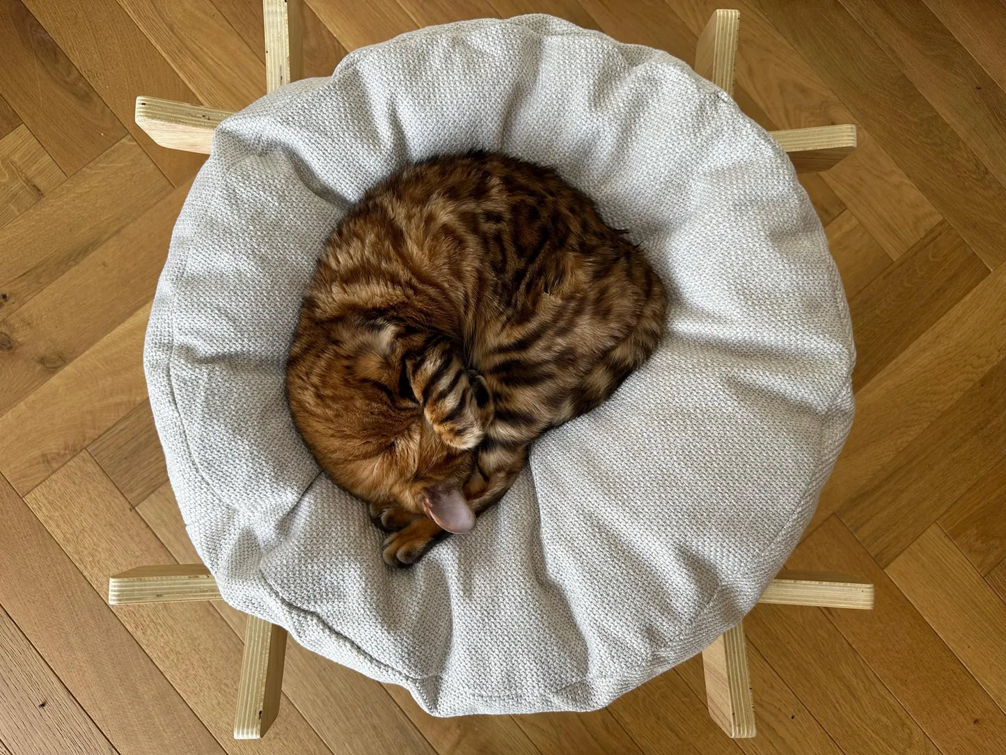 Luxury Solid Wood Cat Bed with Extra Thick Cushion – Premium Durable Design for Modern Homes