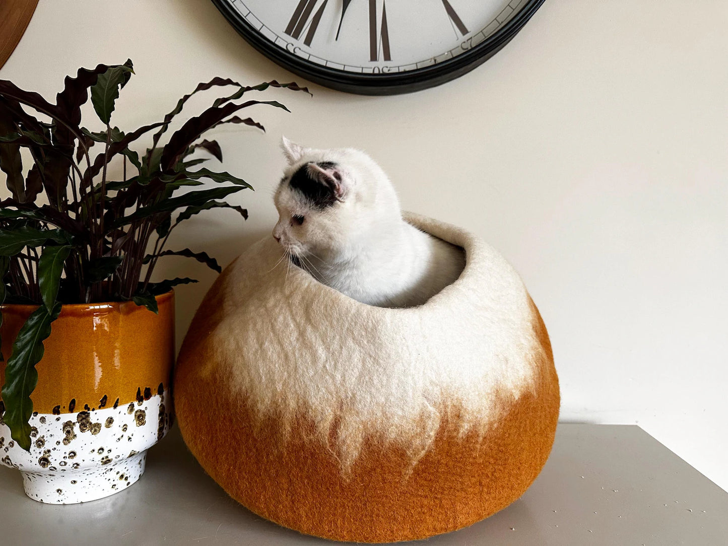 Premium Merino Wool Cat Cave – Cozy Hideout Bed for Cats & Kittens | Handcrafted Modern Design