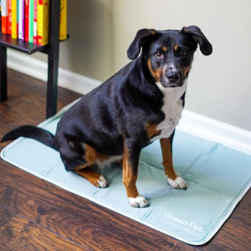 Premium Cooling Pet Pad – Soft, Breathable & Self-Cooling Mat for Dogs & Cats