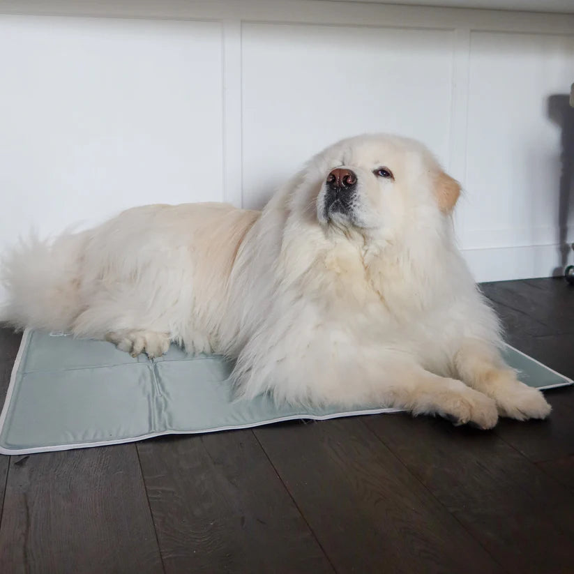 Premium Cooling Pet Pad – Soft, Breathable & Self-Cooling Mat for Dogs & Cats